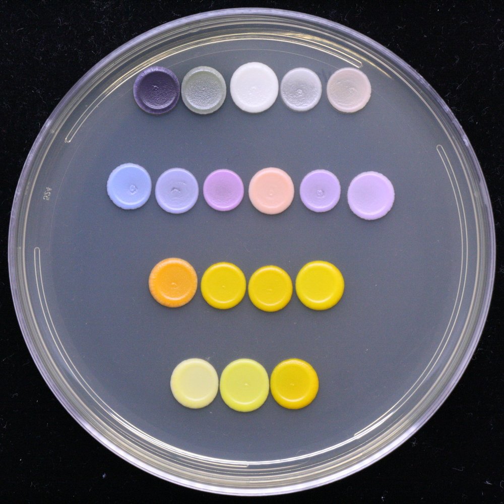 The Yeast Art palette